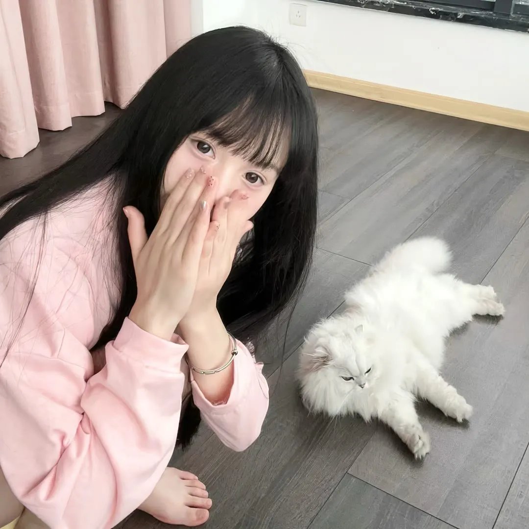 超级无敌掌门狗：引鹅入室